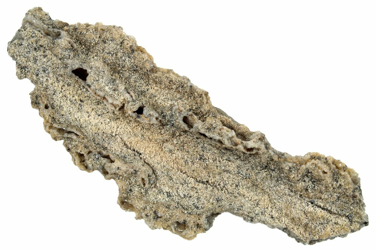 2-5-fulgurite-petrified-lightning-260461-for-sale-fossilera