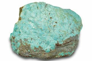 Polished Turquoise Specimen - Number Mine, Carlin, NV #260511