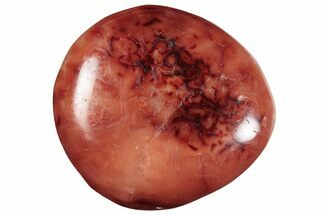 Bright Red Polished Carnelian Agate Palm Stone - Madagascar #260546