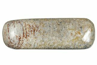 Polished Dinosaur Bone (Gembone) - Morocco #260626