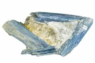 Vibrant Blue Kyanite Crystals In Quartz - Brazil #260744