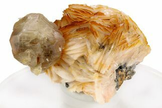 Large, Fluorescent Cerussite Crystal On Barite - Morocco #261676