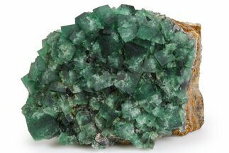 Fluorescent Green Fluorite Cluster - Diana Maria Mine, England #261748