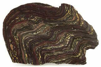 Polished Tiger Iron Stromatolite Slab - Billion Years #261990