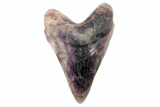 Carved Rainbow Fluorite Megalodon Tooth - Replica #262100