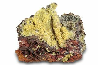 Mimetite Crystal Clusters on Limonitic Matrix - Mexico #261941