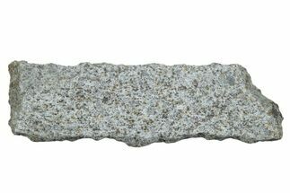 El Hammami Chondrite Meteorite Slice ( g) - Mauritania #263186