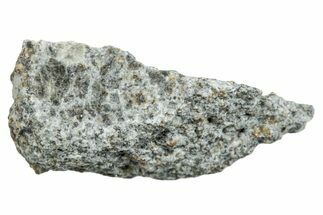 El Hammami Chondrite Meteorite Fragment ( g) - Mauritania #263189