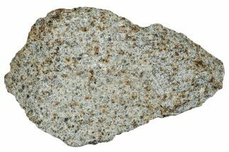 El Hammami Chondrite Meteorite Section ( g) - Mauritania #263192