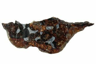 Seymchan Pallasite Meteorite Slice ( g) - Russia #263208