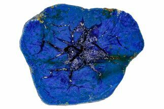 Vivid Blue, Cut/Polished Azurite Nodule - Siberia #263212