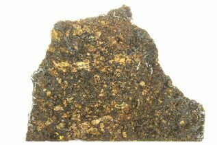 Pallasites For Sale