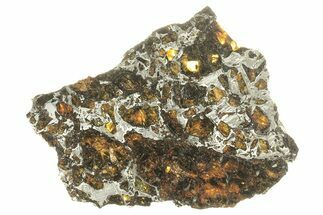 Polished Admire Pallasite Meteorite ( g) Slice - Kansas #263323