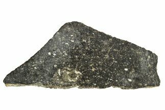 Lunar Meteorite Slice ( g) - NWA #263332