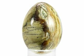 Chatoyant, Polished Arizona Pietersite Egg - Arizona #263498