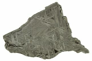 Etched Iron Meteorite ( g) Slice - NWA #263659