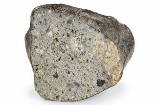 Eucrite Meteorite ( g) - NWA Main Mass #263810