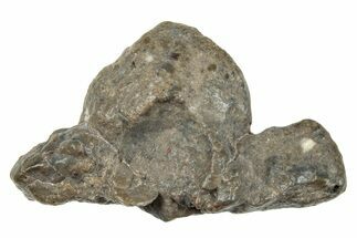 Lunar Meteorite ( g) - NWA #264146