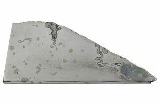 Gleaming Dronino Iron Meteorite Slice ( g) - Ryazan, Russia #264924