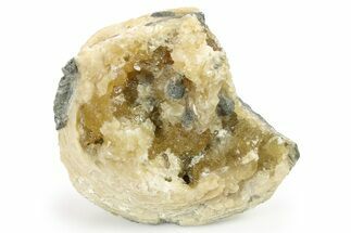 Fossil Clam (Mercenaria) With Fluorescent Calcite - Rucks Pit, FL #264737