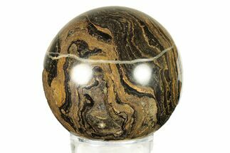 Polished Stromatolite (Greysonia) Sphere - Bolivia #264398