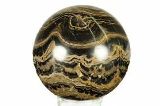Polished Stromatolite (Greysonia) Sphere - Bolivia #264404
