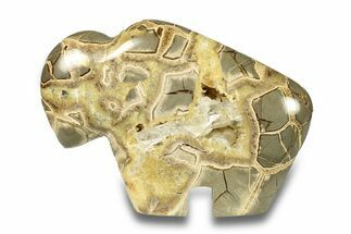 Calcite-Filled Polished Septarian Bison - Utah #264587