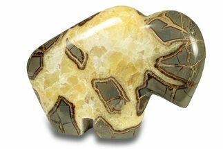 Calcite-Filled Polished Septarian Bison - Utah #264590