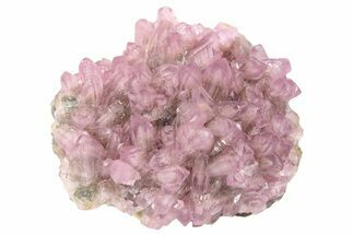 Sparkly Cobaltoan Calcite Crystals - Morocco #265189