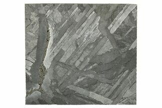 Etched Seymchan Meteorite Slice ( g) - Russia #265007