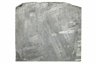 Seymchan Pallasites For Sale