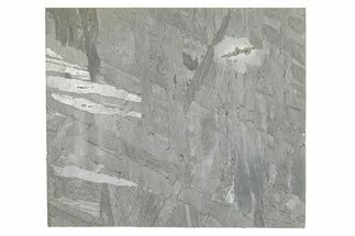 Etched Seymchan Meteorite Slice ( g) - Russia #265010