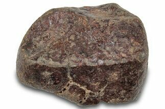 Chondrite Meteorite ( g) - Unclassified NWA #265632