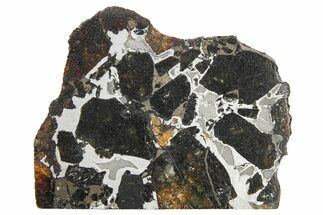 Brahin Pallasite Meteorite ( g) Slice - Belarus #265821