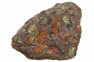 Polished Sericho Pallasite Meteorite ( g) End Cut - Kenya #265845