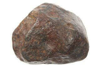 Chondrite Meteorite ( g) - NWA #265629