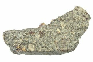LL Chondrite Meteorite ( g) - NWA #265928
