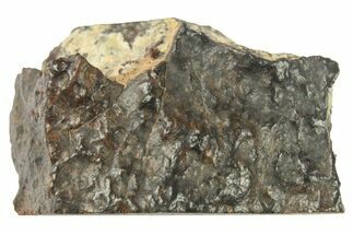 Carbonaceous Chondrite Meteorite ( g) End-Cut - NWA #265946