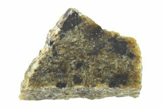 Martian Meteorite ( mg) Slice - NWA #265950