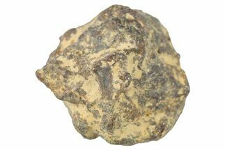 Bondoc Mesosiderite Meteorite (g) - Philippines #266044