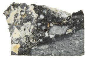 https://assets0.fossilera.com/sp/679960/lunar-meteorites/300x200/lunar-feldspathic-breccia.jpg