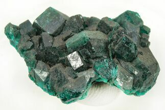 Dioptase Crystal Cluster - Republic of the Congo #266246