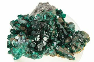 Lustrous Dioptase Crystals with Cerussite - Republic of the Congo #266294
