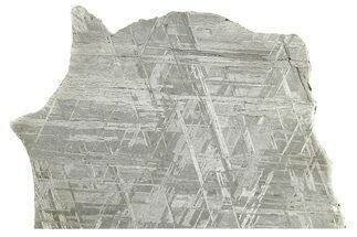 Etched Gibeon Iron Meteorite ( g) Slice - Namibia #266418