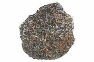 Polished Sericho Pallasite Meteorite ( g) Slice - Kenya #266433