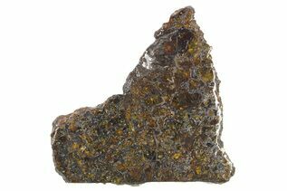 Admire Pallasites For Sale