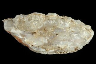Botryoidal Hyalite Opal with Chalcedony - Mexico #266379