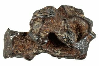 Sericho Pallasite Meteorite ( g) Metal Skeleton #267041