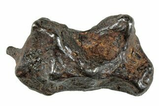 Sericho Pallasite Meteorite ( g) Metal Skeleton #267044