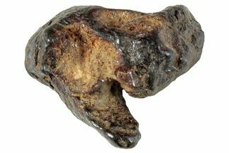 Sericho Pallasite Meteorite ( g) Metal Skeleton #267384
